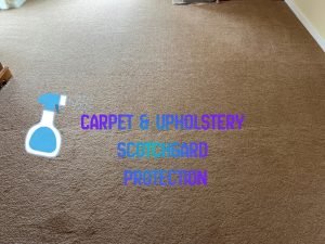 Applying Scotchgard protection to freshly cleaned carpet fibres