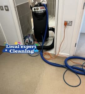 Carpet cleaning questions and answers 4 Why Pay for Professional Carpet Cleaning
