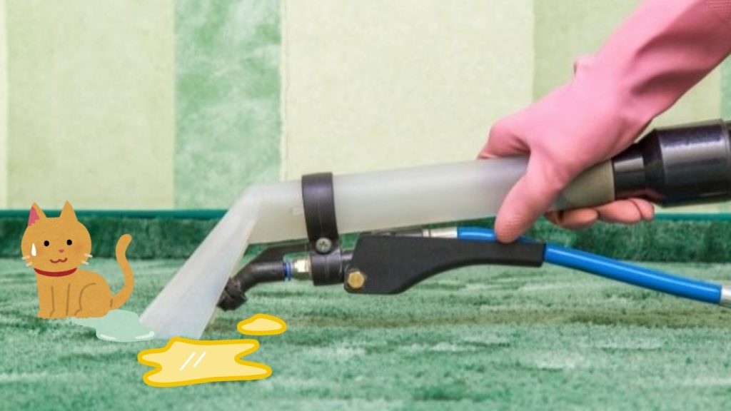 Deep carpet extraction removing odour causing contamination