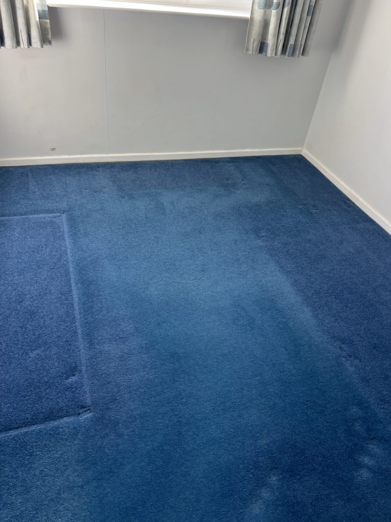 carpet-cleaning-without-chemicals-baby-safe-steam-cleaning 3 Bedroom carpet cleaned using steam only without chemicals showing improved appearance
