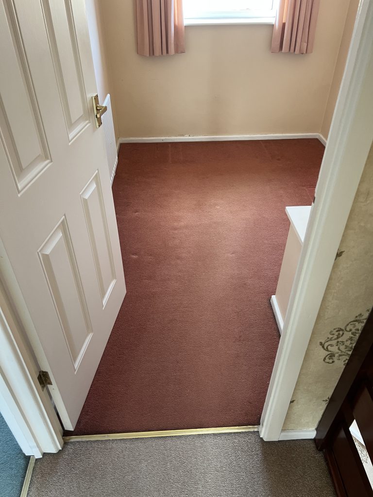 carpet-cleaning-without-chemicals-baby-safe-steam-cleaning 4 Hallway carpet after steam cleaning without chemicals in a UK home