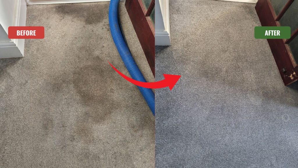 Living room carpet cleaning in Northfield showing before and after results