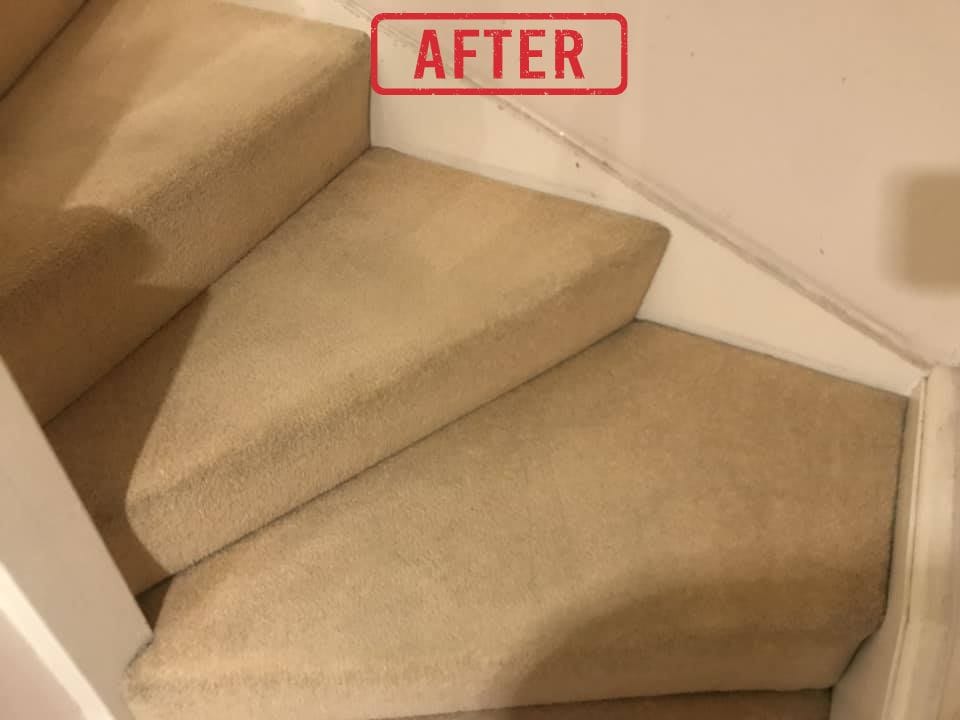 After carpet cleaning in Tipton showing a cleaner fresher carpet after professional cleaning