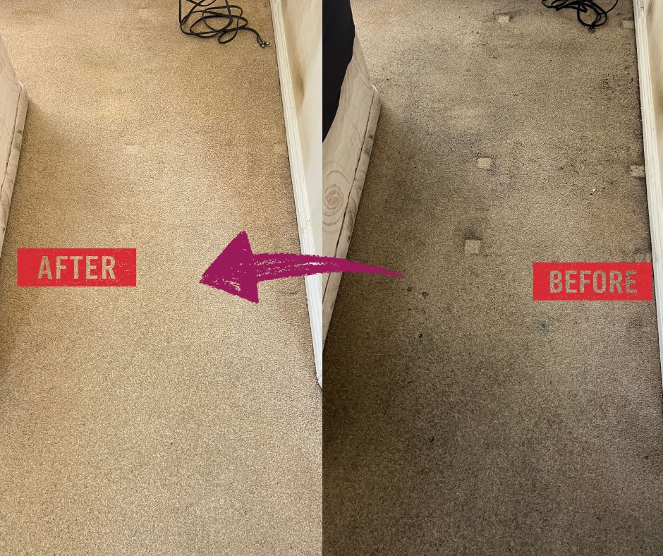 Carpet cleaning before and after result showing visible improvement after hot water extraction