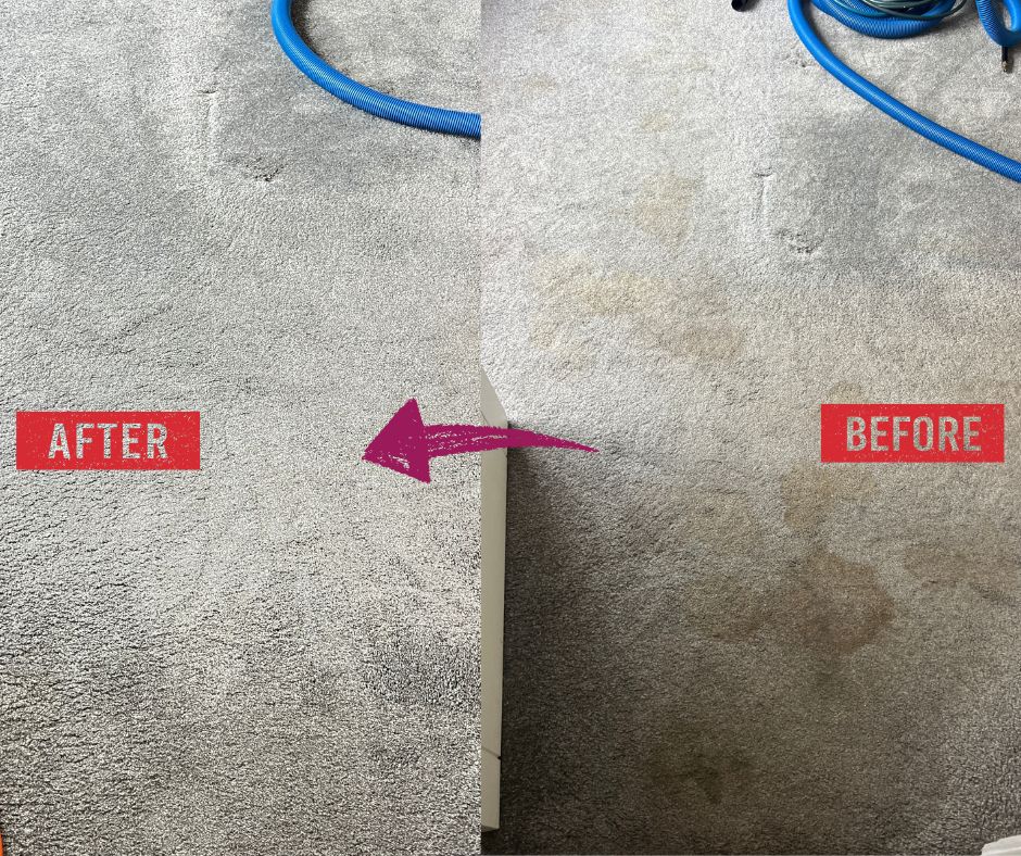 Living-room carpet cleaning before and after result from a Local Expert Cleaning job