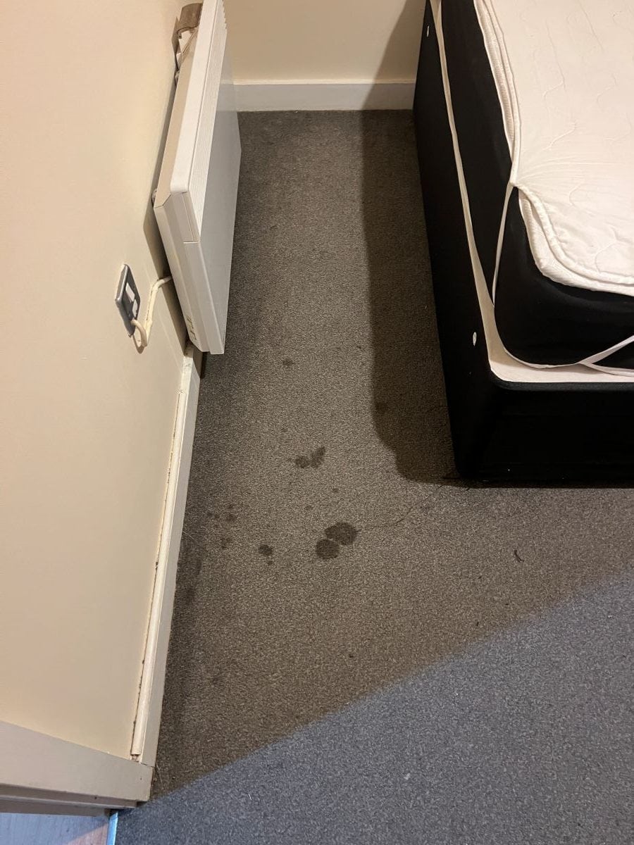 Grey bedroom carpet with dark marks beside the bed before cleaning in Bearwood
