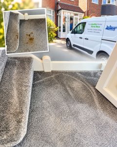Professional carpet cleaning after human faeces contamination, showing before and after results from a real case study